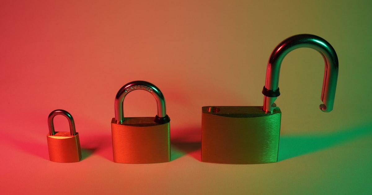 Maintaining Your Locks for Longevity